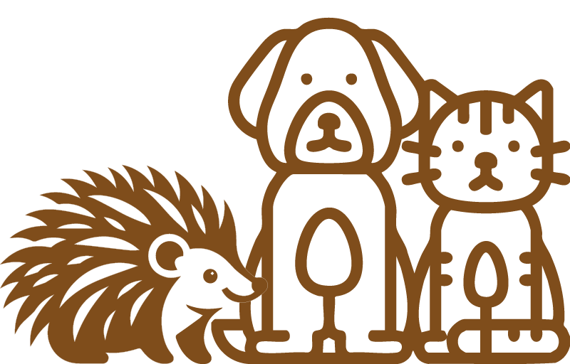 herisson animal